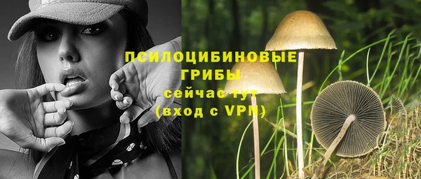 гидра Михайлов