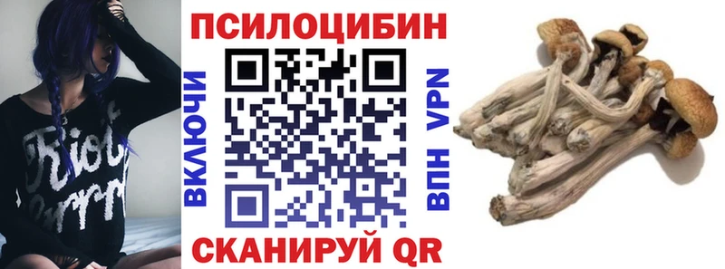 Галлюциногенные грибы прущие грибы  Купить где  Анапа 